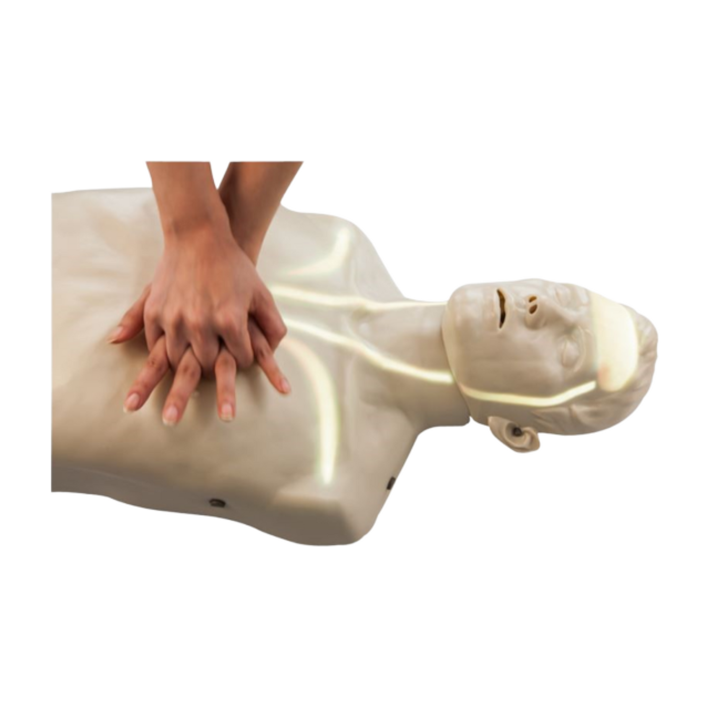 Smart Mann CPR Manikin