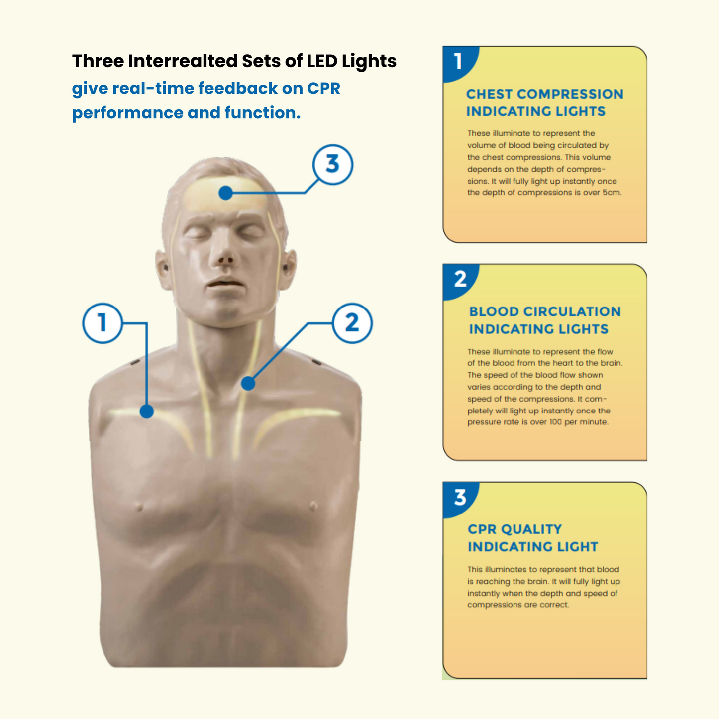 Smart Mann CPR Manikin