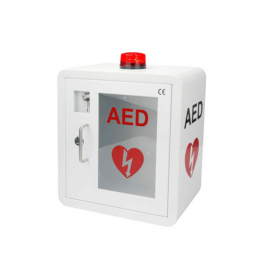 Regular AED Wall Cabinet